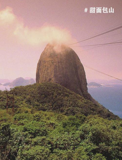 quem-é-beto-ribeiro - Apostas no Brasil