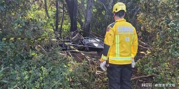 3539-plataforma - Mercado de apostas brasileiro